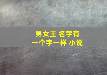 男女主 名字有一个字一样 小说